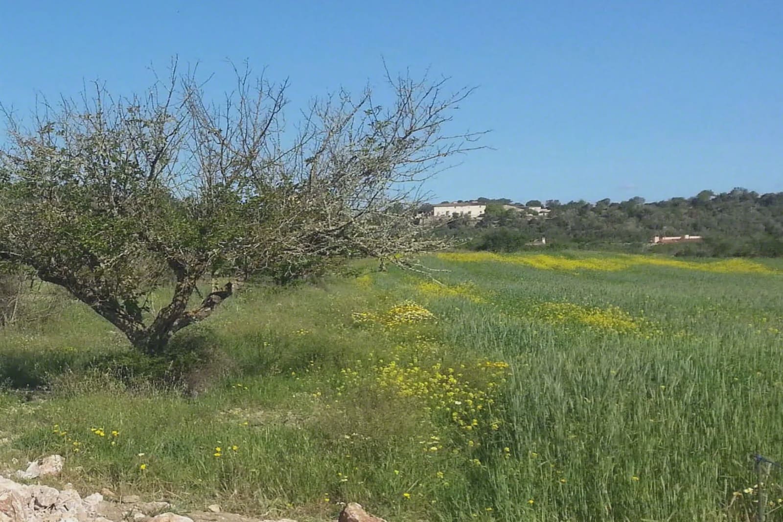 4 soveværelse Finca/Landehus til salg i Porreres - € 1.750.000 (Ref: 5986618)