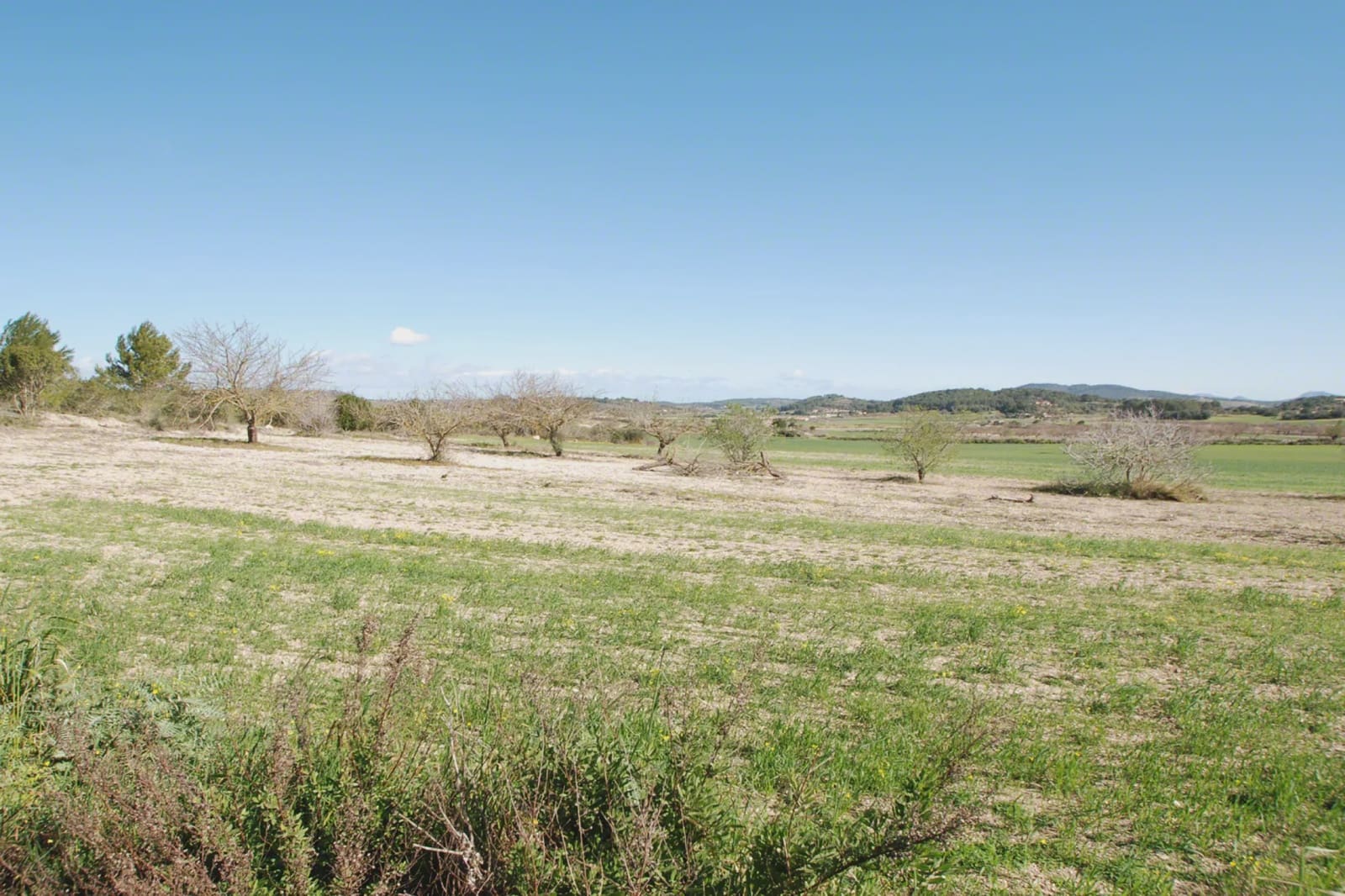 4 soveværelse Finca/Landehus til salg i Porreres - € 1.750.000 (Ref: 5986618)