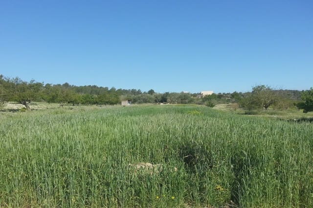 4 sypialnia Finka/Dom wiejski na sprzedaż w Porreres - 1 750 000 € (Ref: 5986618)