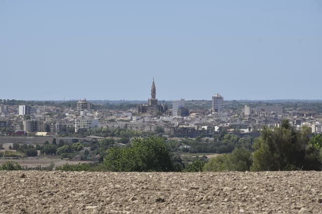Finca/Maison de Campagne à vendre à Manacor - 650 000 € (Ref: 6144663)