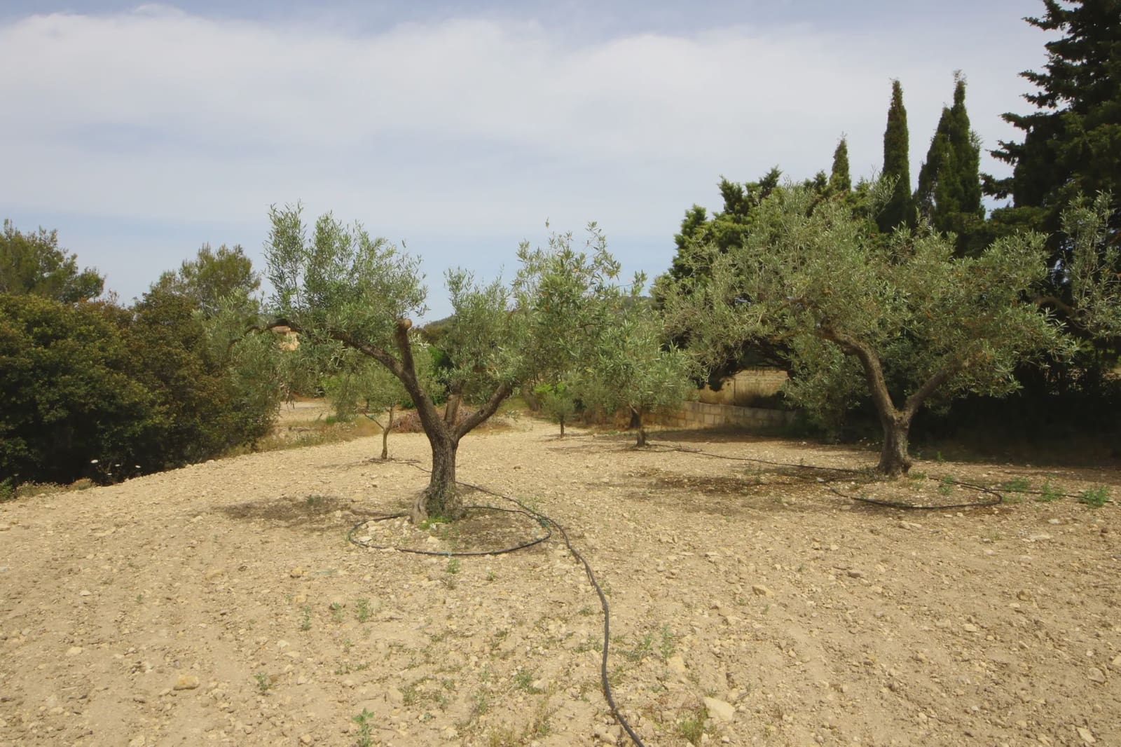 2 makuuhuone Maalaistalo myytävänä paikassa Son Servera - 1 100 000 € (Ref: 6588512)