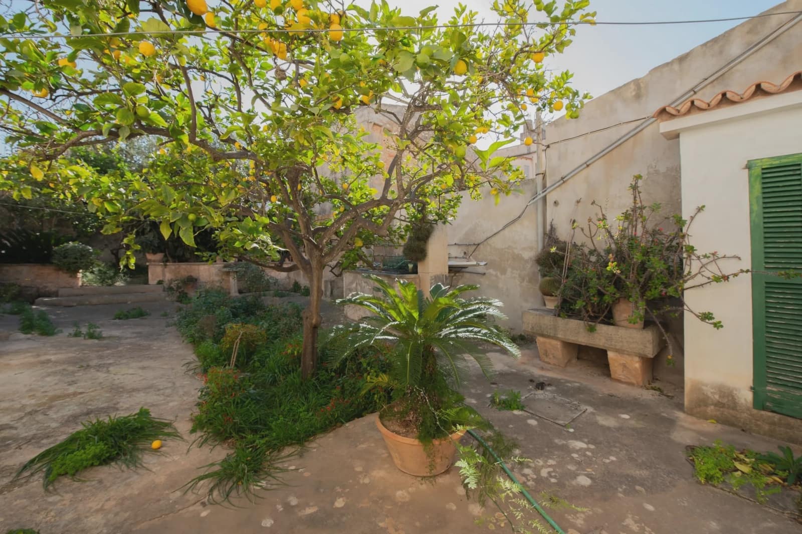 6 bedroom Townhouse for sale in Campos - € 1,300,000 (Ref: 6626759)