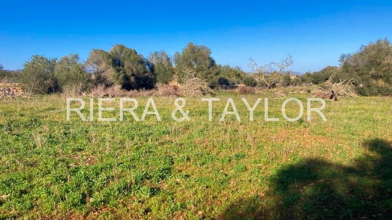 Undeveloped Land for sale in Manacor - € 625,000 (Ref: 6648859)