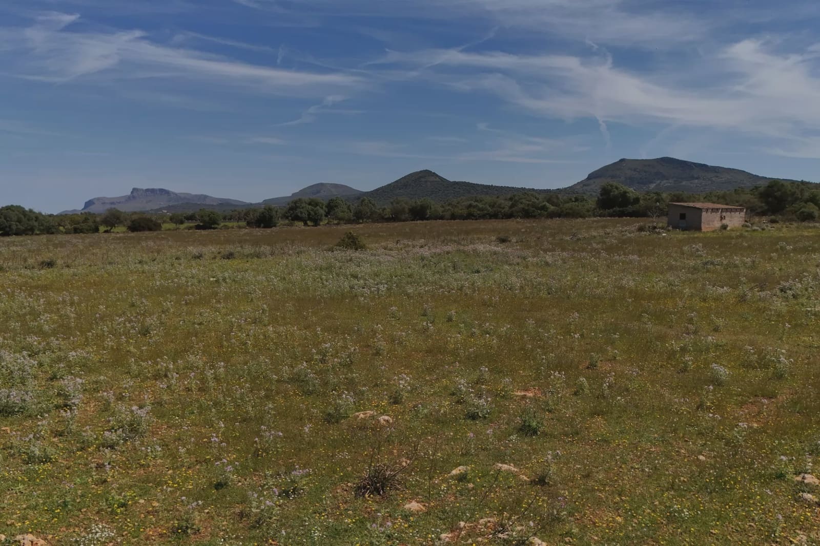 Terreno Não Urbanizado para venda em Manacor - 625 000 € (Ref: 6648859)