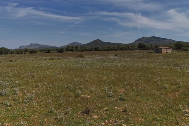 Terreno Não Urbanizado para venda em Manacor - 625 000 € (Ref: 6648859)