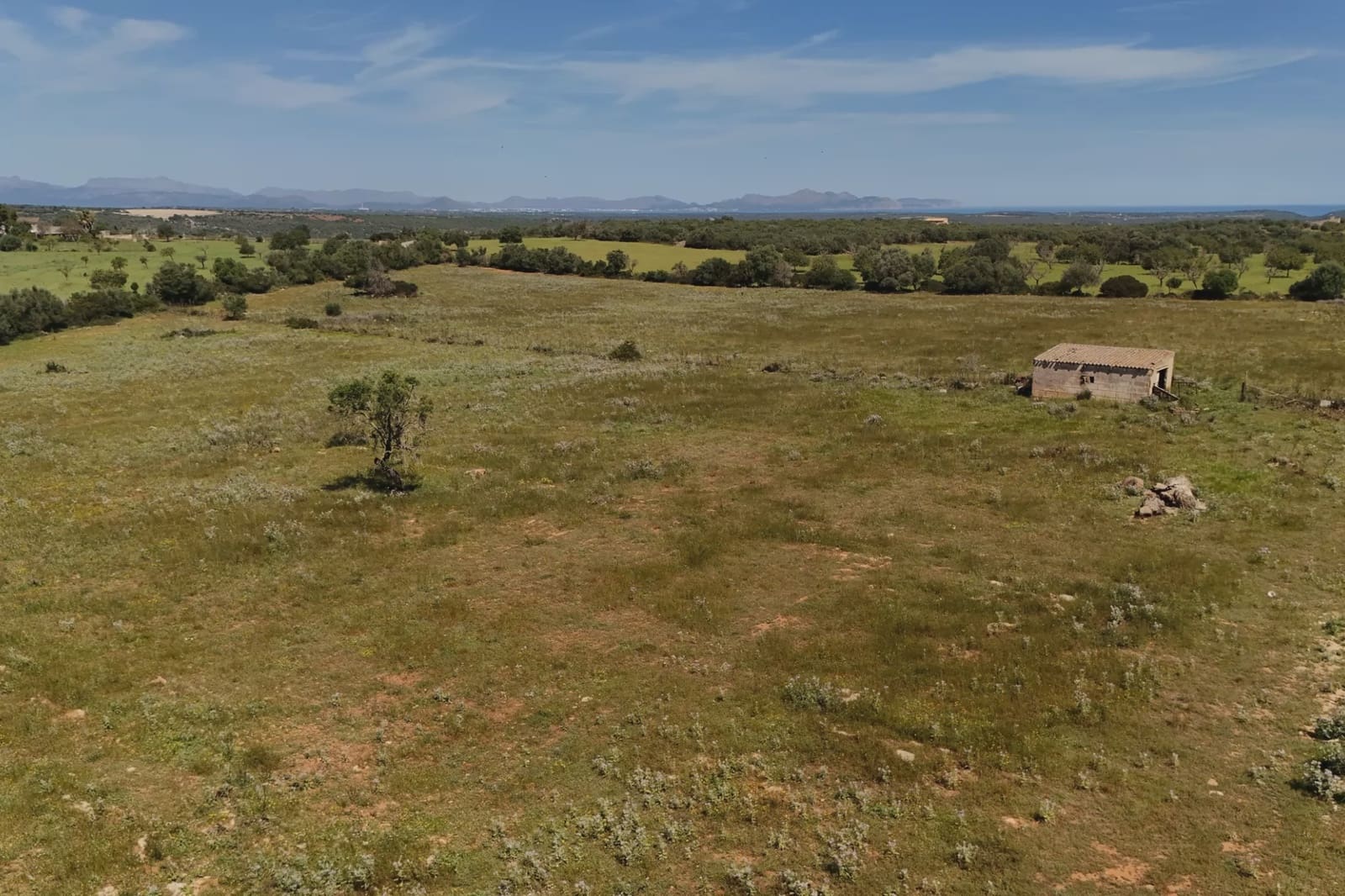 Terreno Não Urbanizado para venda em Manacor - 625 000 € (Ref: 6648859)
