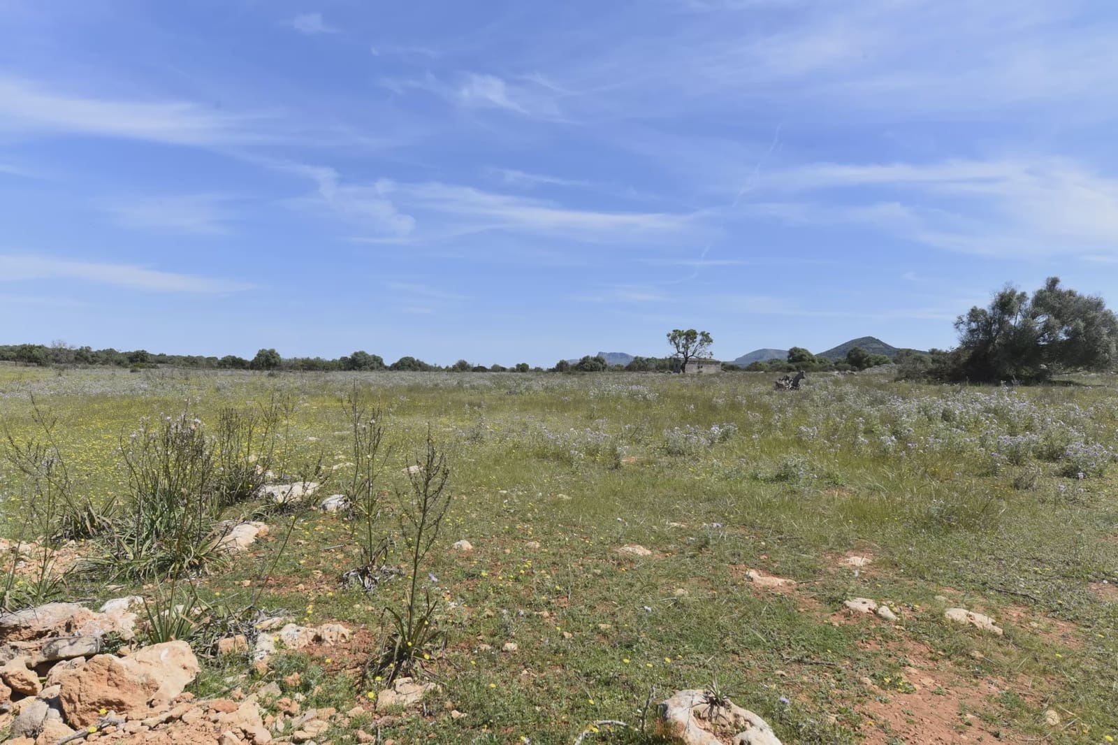 Terreno Não Urbanizado para venda em Manacor - 625 000 € (Ref: 6648859)