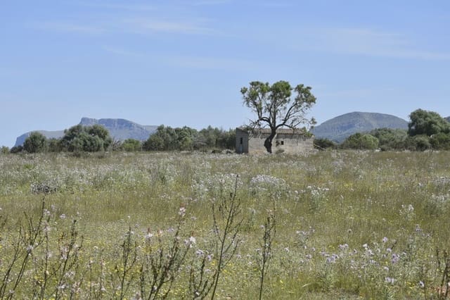 Terreno Não Urbanizado para venda em Manacor - 625 000 € (Ref: 6648859)