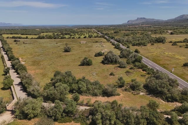 Terreno Não Urbanizado para venda em Manacor - 625 000 € (Ref: 6648859)