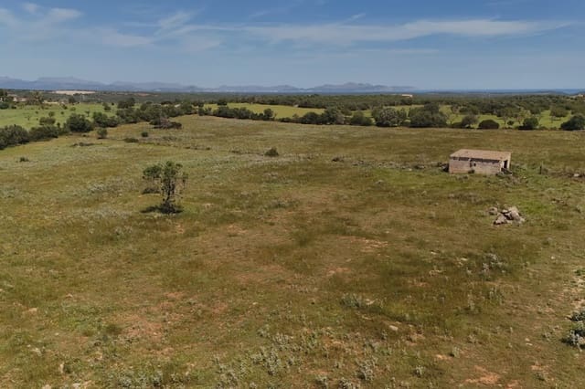 Terreno Não Urbanizado para venda em Manacor - 625 000 € (Ref: 6648859)