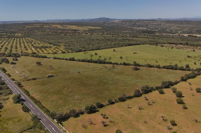 Terreno Não Urbanizado para venda em Manacor - 625 000 € (Ref: 6648859)