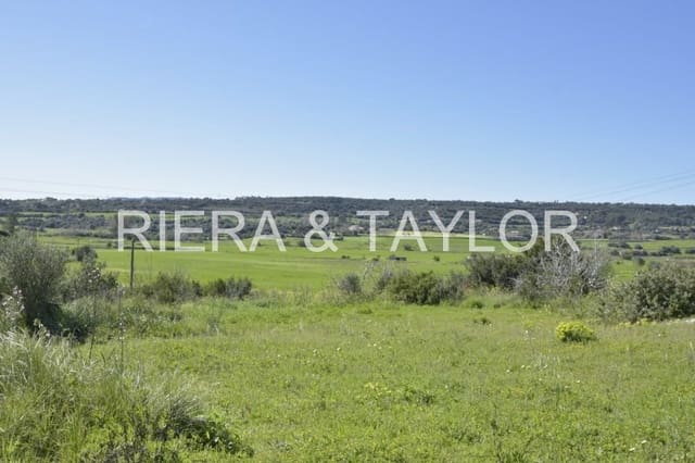 Finca/Country House for sale in Manacor - € 145,000 (Ref: 6648860)