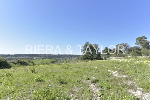 Finca/Country House for sale in Manacor - € 145,000 (Ref: 6648860)