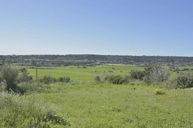 Finca/Landehus til salg i Manacor - € 145.000 (Ref: 6648860)
