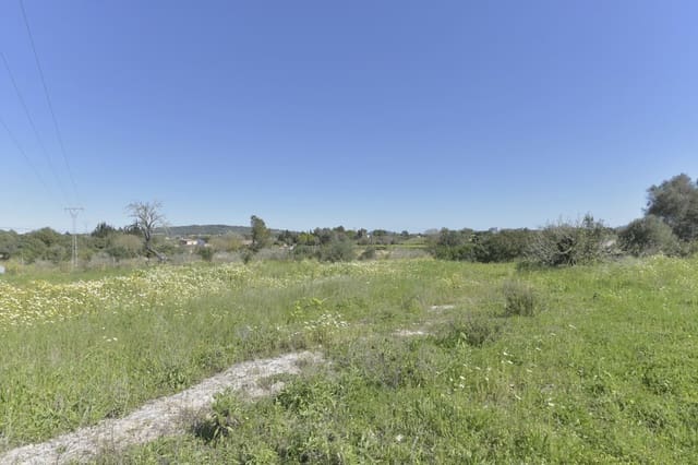 Finca/Landehus til salg i Manacor - € 145.000 (Ref: 6648860)