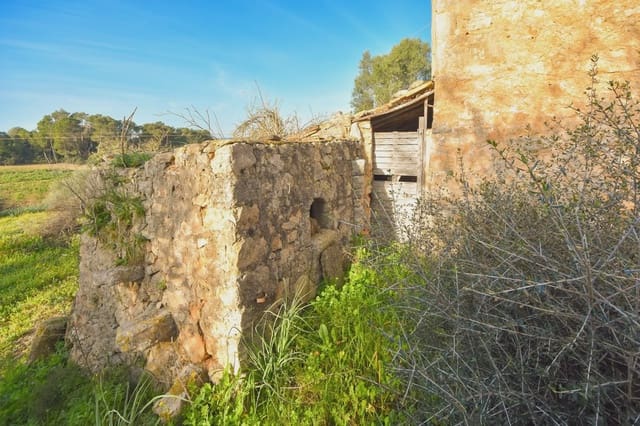Finca/Landehus til salg i Manacor - € 145.000 (Ref: 6648860)