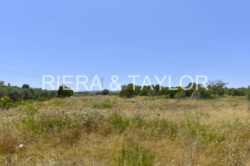 Ubebygd land til salgs i Manacor - € 155 000 (Ref: 6648866)
