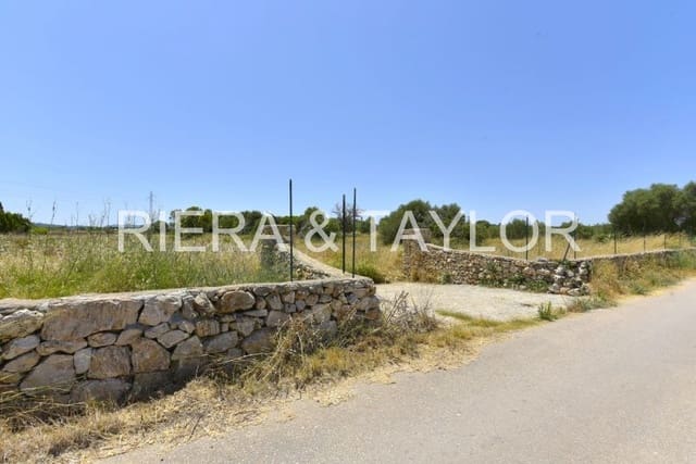 Ubebygd land til salgs i Manacor - € 155 000 (Ref: 6648866)