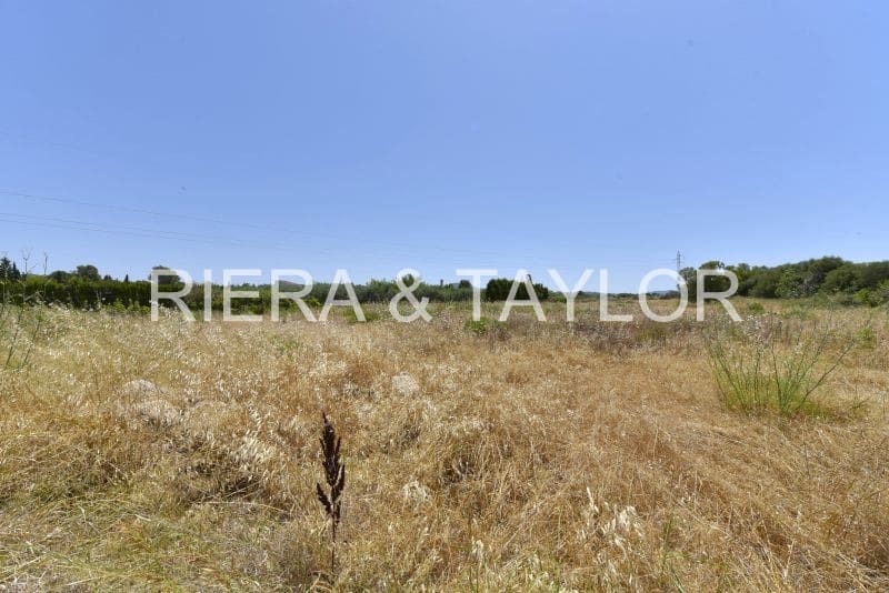 Ubebygd land til salgs i Manacor - € 155 000 (Ref: 6648866)