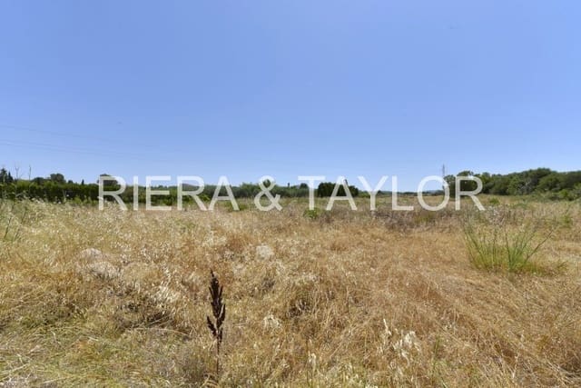 Ubebygd land til salgs i Manacor - € 155 000 (Ref: 6648866)