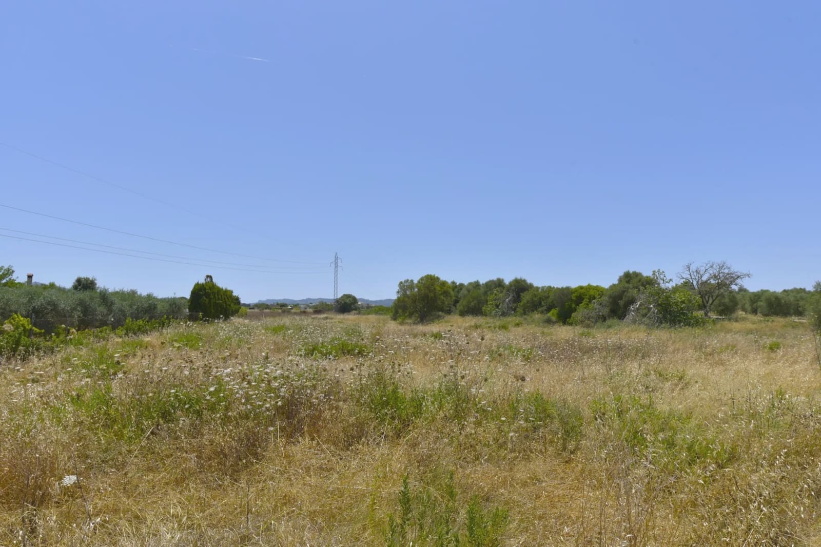 Undeveloped Land for sale in Manacor - € 155,000 (Ref: 6648866)