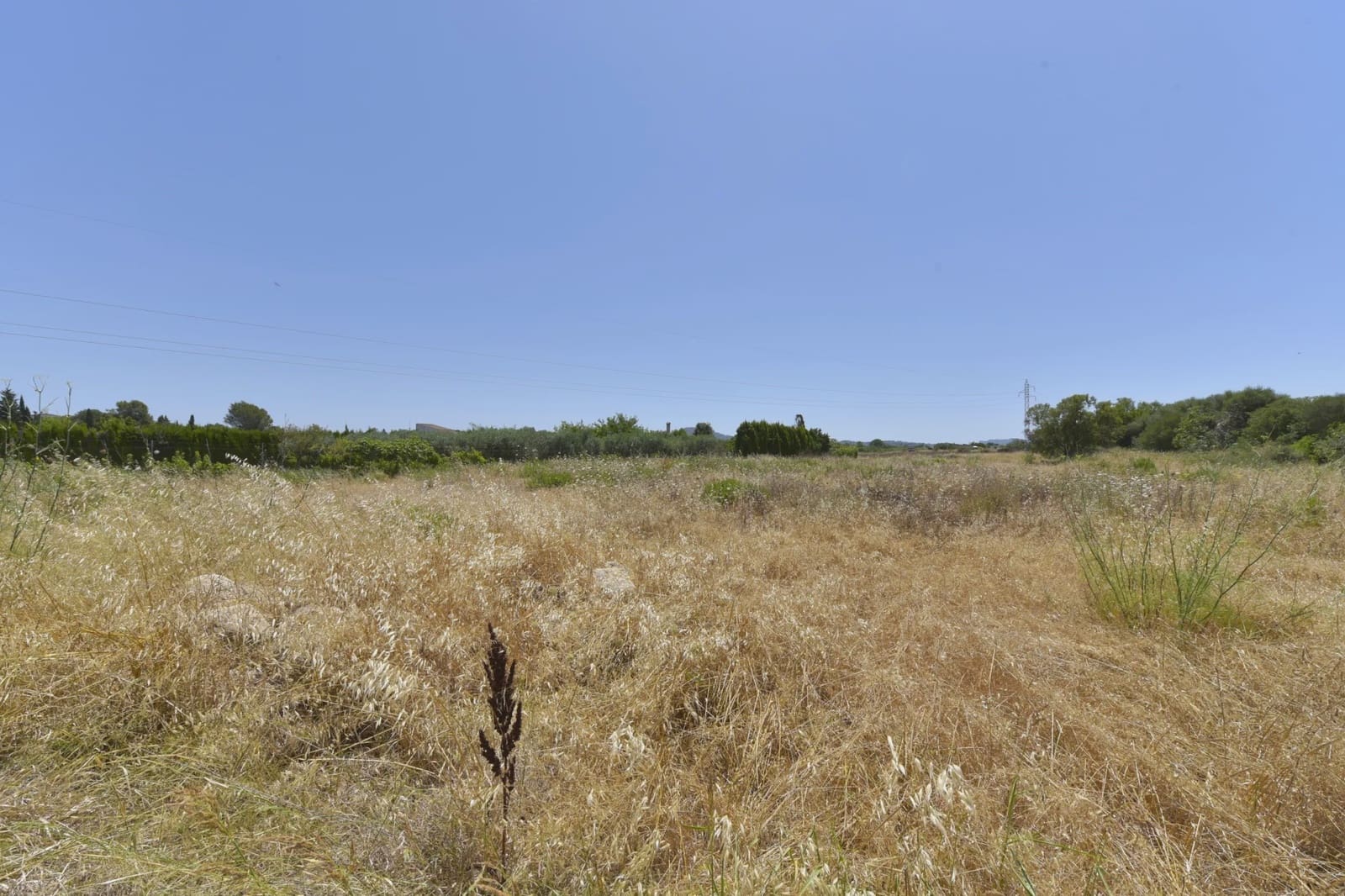 Undeveloped Land for sale in Manacor - € 155,000 (Ref: 6648866)