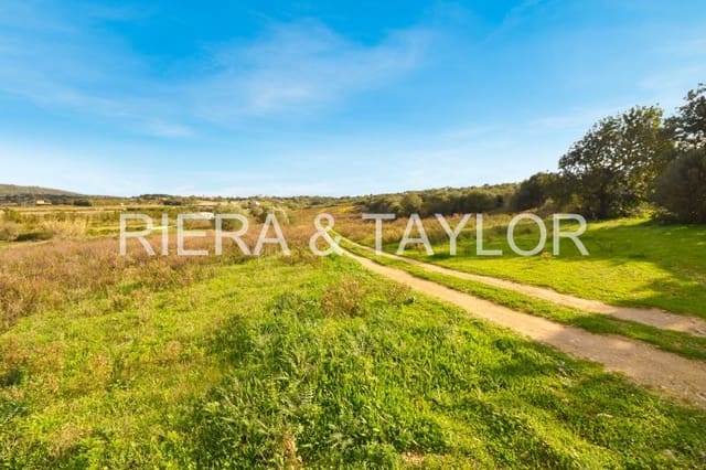 Grunde uden byggetilladelser til salg i Manacor - € 320.000 (Ref: 6654926)