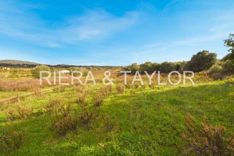 Grunde uden byggetilladelser til salg i Manacor - € 320.000 (Ref: 6654926)
