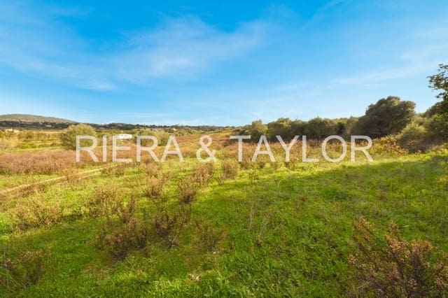 Grunde uden byggetilladelser til salg i Manacor - € 320.000 (Ref: 6654926)