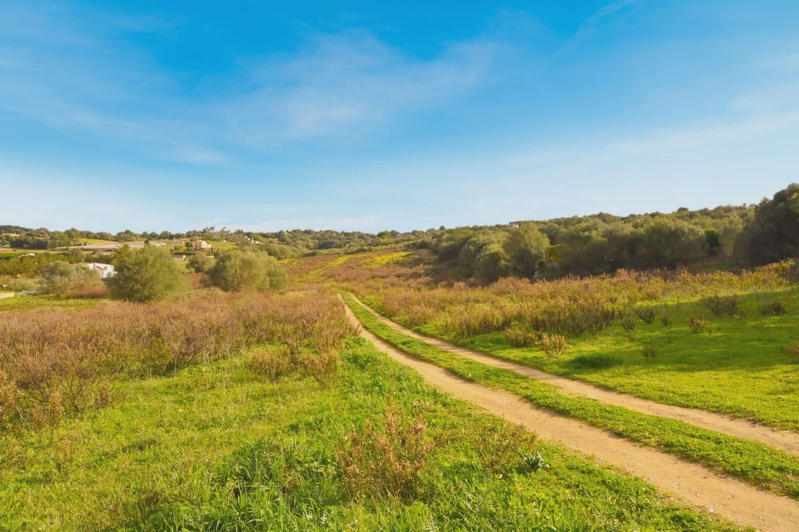 Undeveloped Land for sale in Manacor - € 320,000 (Ref: 6654926)