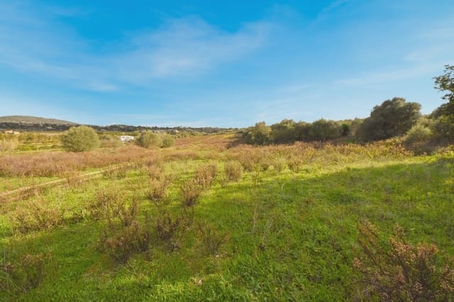 Grunde uden byggetilladelser til salg i Manacor - € 320.000 (Ref: 6654926)