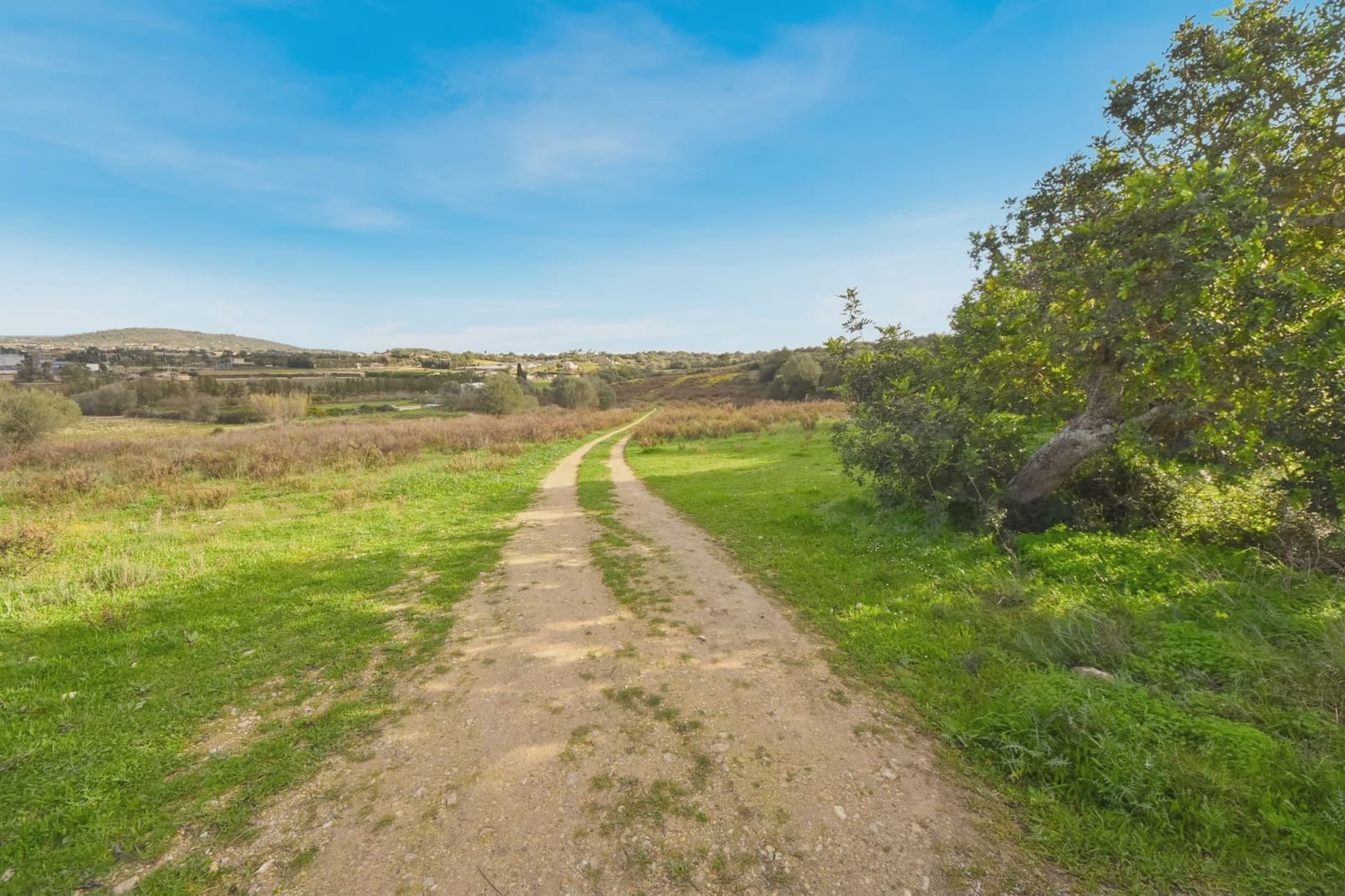 Undeveloped Land for sale in Manacor - € 320,000 (Ref: 6654926)