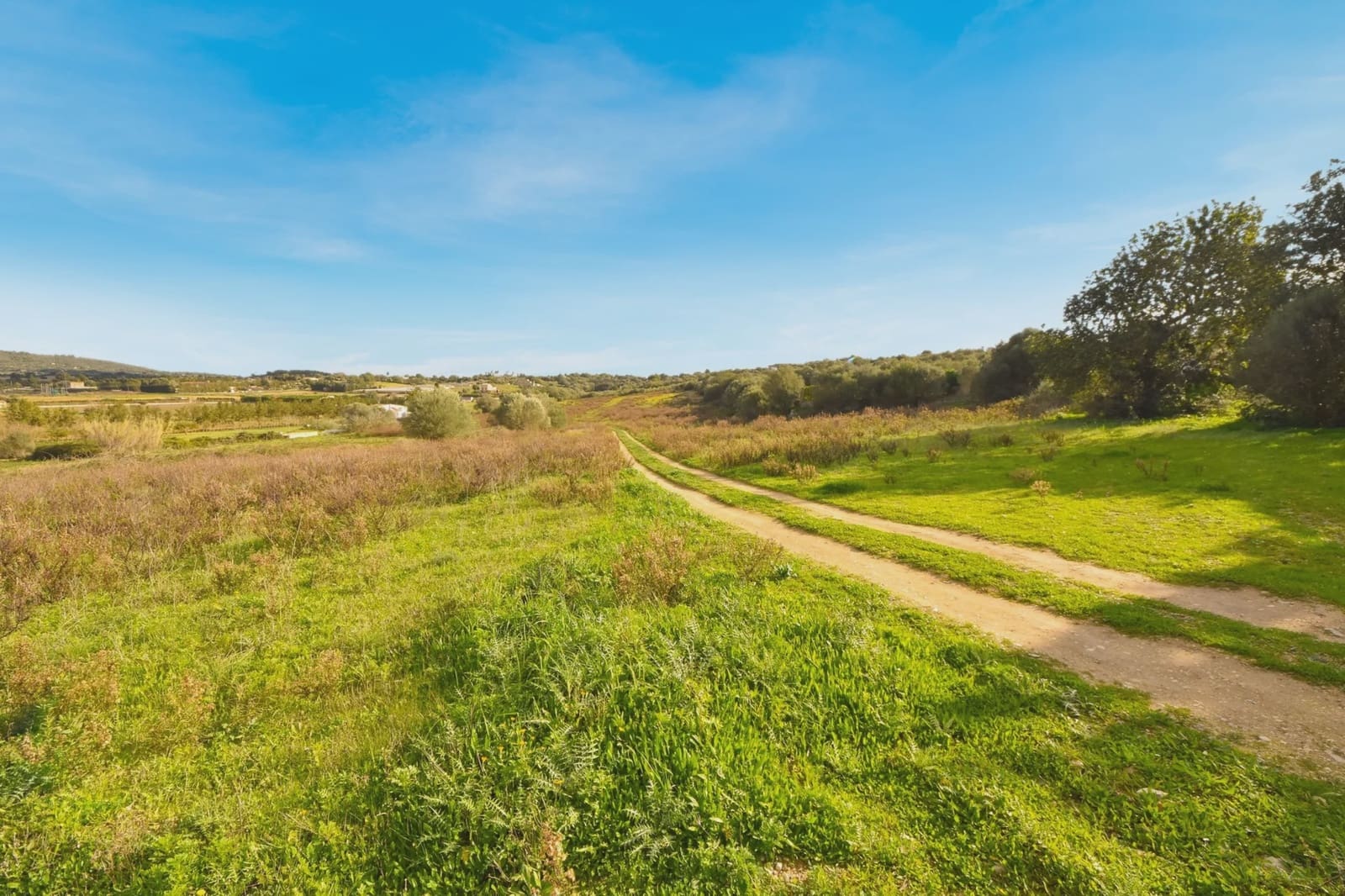 Undeveloped Land for sale in Manacor - € 320,000 (Ref: 6654926)
