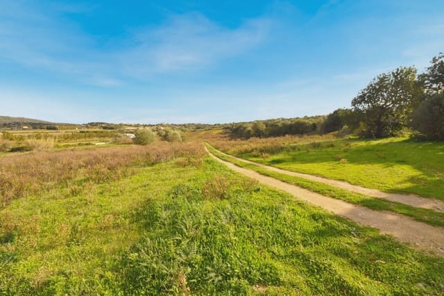 Grunde uden byggetilladelser til salg i Manacor - € 320.000 (Ref: 6654926)