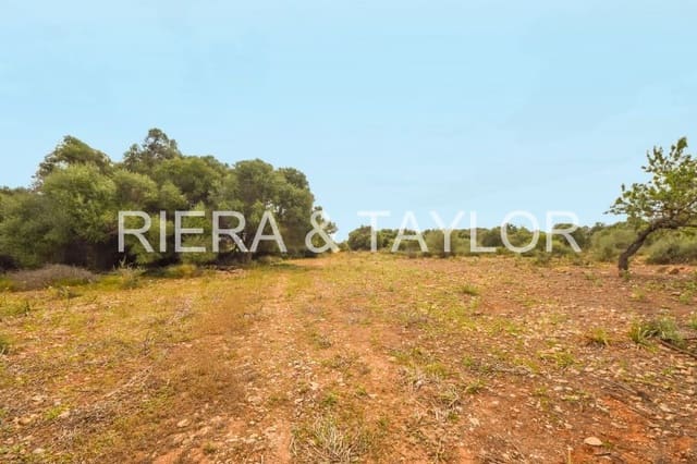 Grond te koop in Calas de Mallorca, Manacor - € 500.000 (Ref: 6826272)