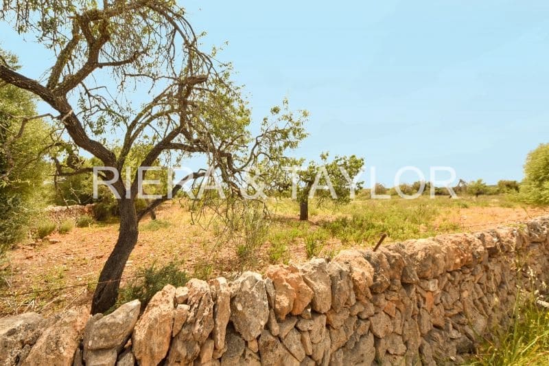 Grunde uden byggetilladelser til salg i Calas de Mallorca - € 500.000 (Ref: 6826272)