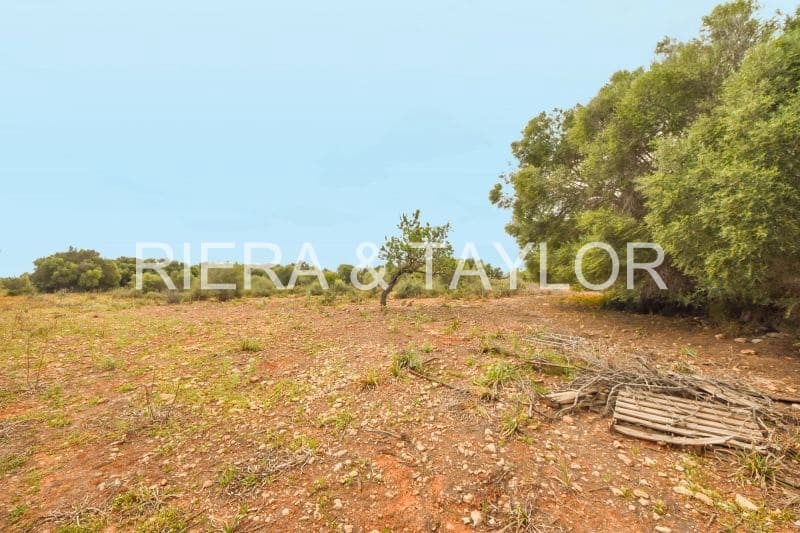 Grunde uden byggetilladelser til salg i Calas de Mallorca - € 500.000 (Ref: 6826272)