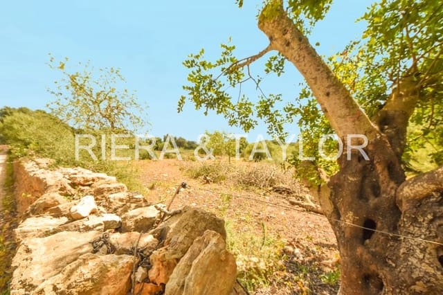 Grond te koop in Calas de Mallorca, Manacor - € 500.000 (Ref: 6826272)