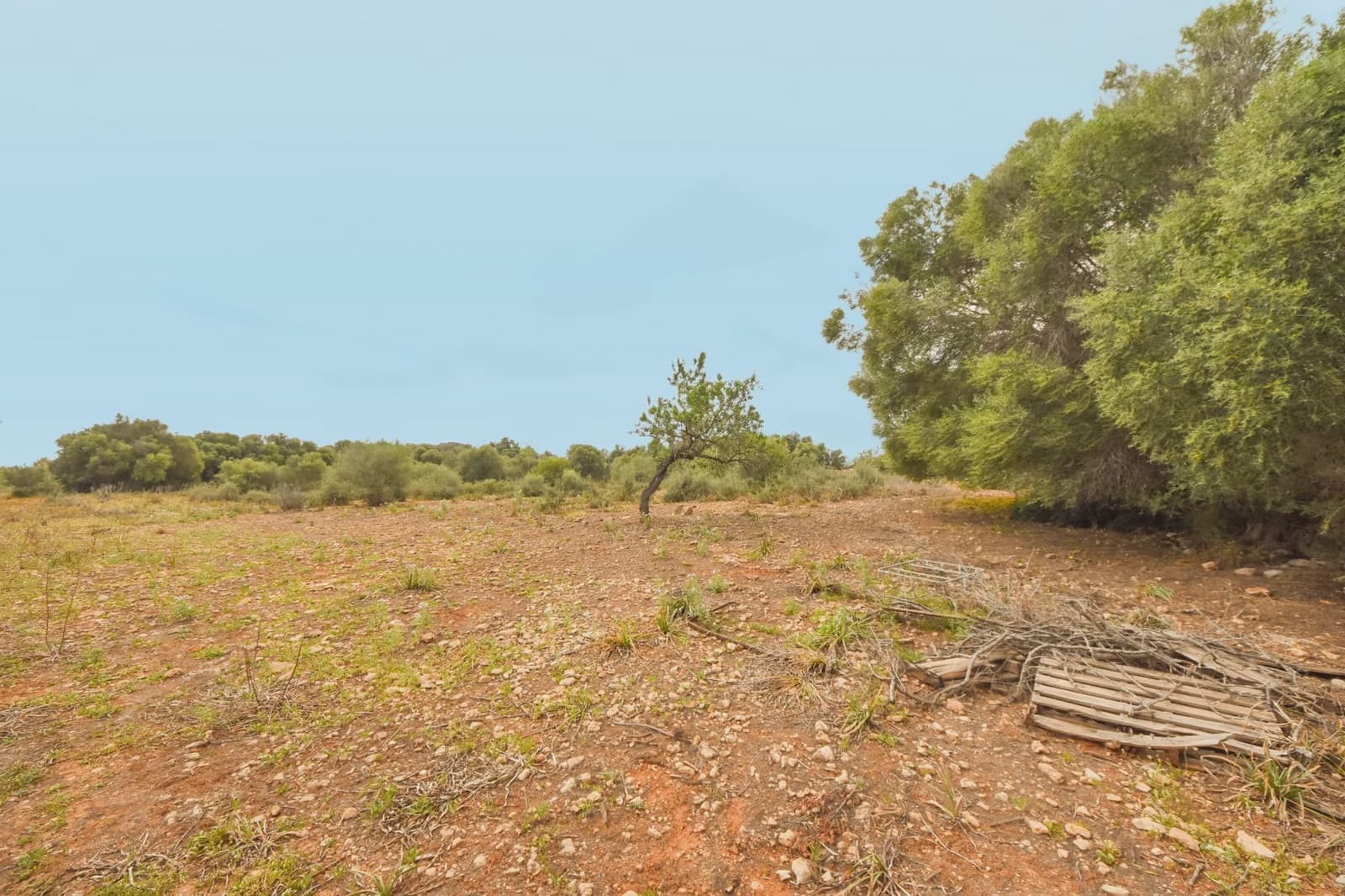 Grond te koop in Calas de Mallorca - € 500.000 (Ref: 6826272)