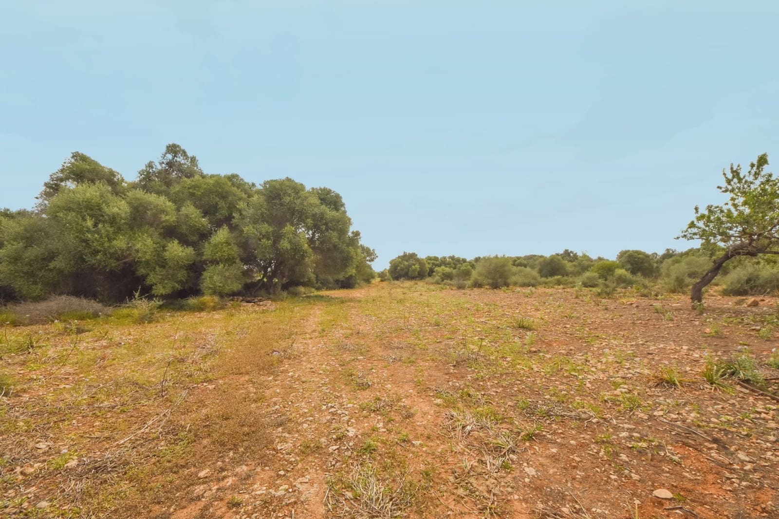 Grond te koop in Calas de Mallorca - € 500.000 (Ref: 6826272)