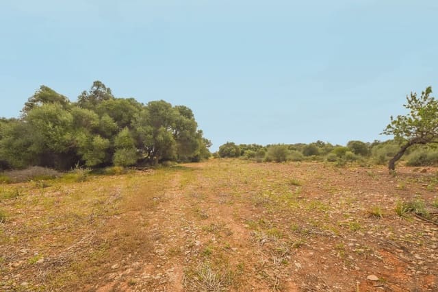 Teren niezagospodarowany na sprzedaż w Calas de Mallorca, Manacor - 500 000 € (Ref: 6826272)