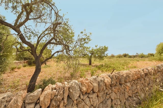 Teren niezagospodarowany na sprzedaż w Calas de Mallorca, Manacor - 500 000 € (Ref: 6826272)