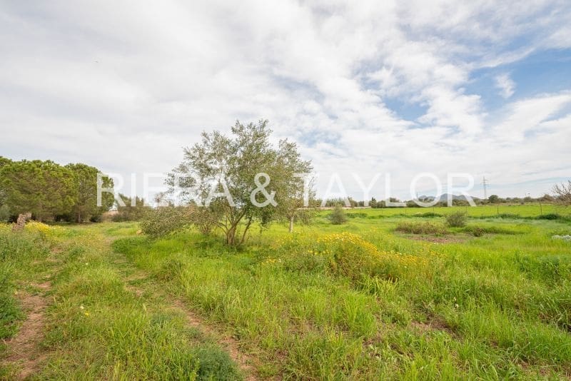 3 quarto Quinta/Casa Rural para venda em Manacor - 330 000 € (Ref: 6876740)