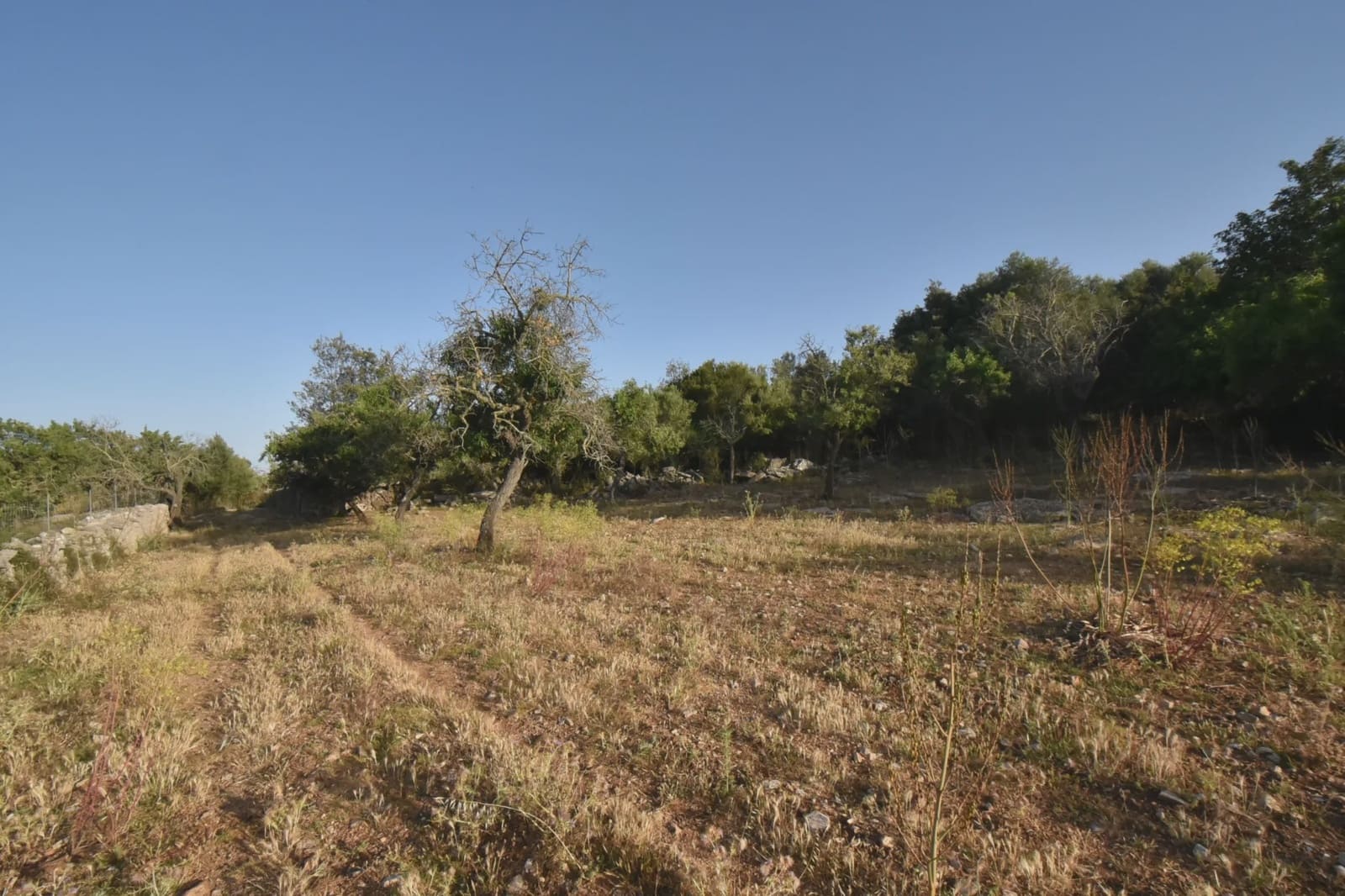 Terreno Non Edificato in vendita in Son Servera - 970.000 € (Rif: 6895263)
