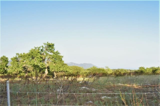 Terreno Non Edificato in vendita in Son Servera - 970.000 € (Rif: 6895263)