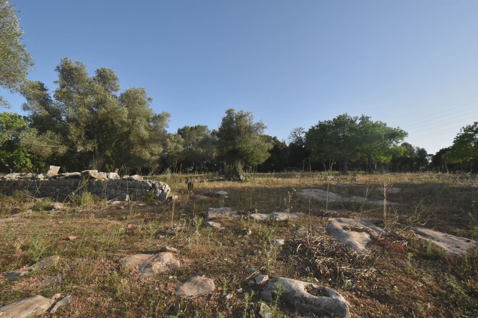 Terreno Non Edificato in vendita in Son Servera - 970.000 € (Rif: 6895263)