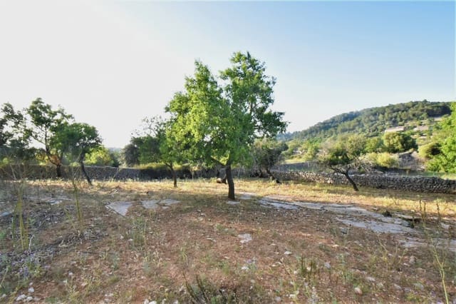 Terreno Non Edificato in vendita in Son Servera - 970.000 € (Rif: 6895263)