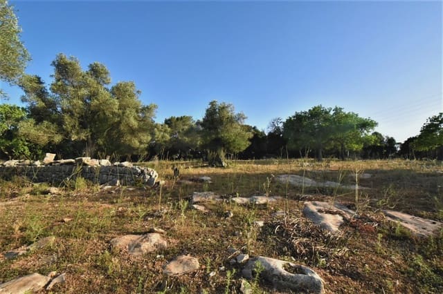 Terreno Non Edificato in vendita in Son Servera - 970.000 € (Rif: 6895263)