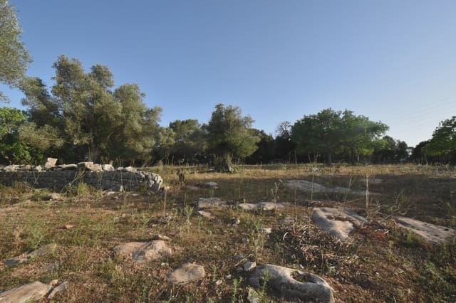 Terreno Non Edificato in vendita in Son Servera - 970.000 € (Rif: 6895263)