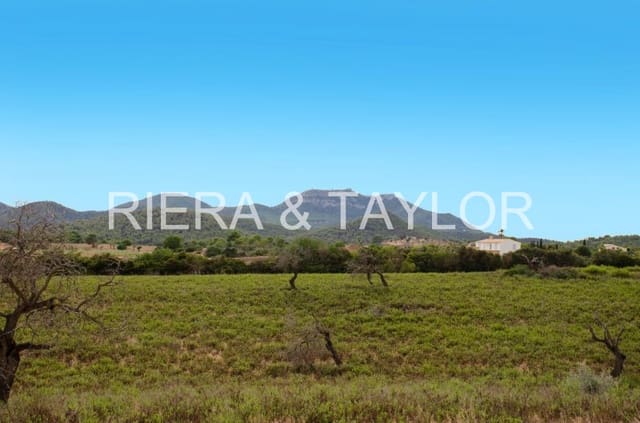 2 sypialnia Finka/Dom wiejski na sprzedaż w Calas de Mallorca, Manacor - 1 100 000 € (Ref: 7110605)